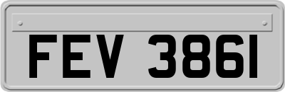 FEV3861
