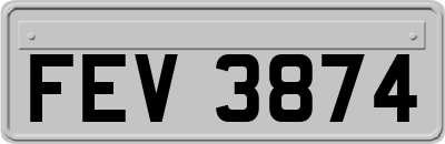 FEV3874
