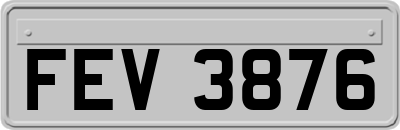 FEV3876