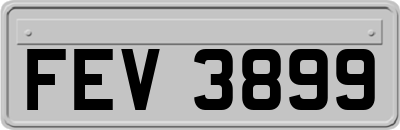 FEV3899