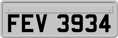 FEV3934