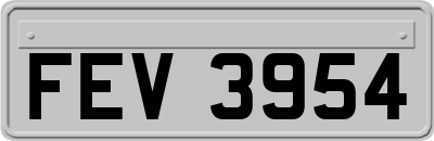 FEV3954