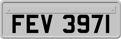 FEV3971