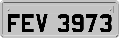 FEV3973