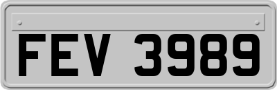 FEV3989