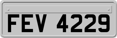 FEV4229