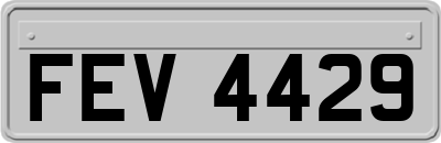FEV4429