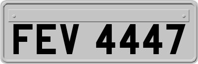 FEV4447