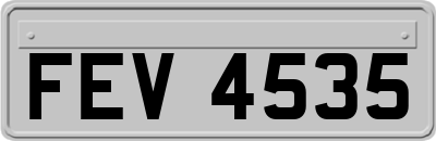 FEV4535