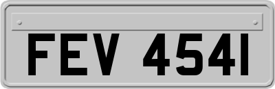 FEV4541