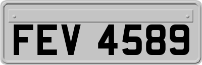 FEV4589