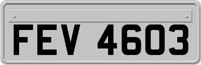 FEV4603