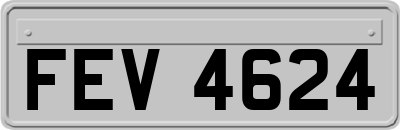 FEV4624