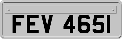 FEV4651
