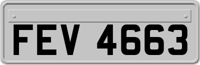 FEV4663