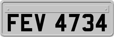 FEV4734
