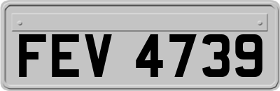 FEV4739