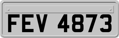 FEV4873