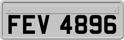 FEV4896