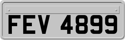 FEV4899
