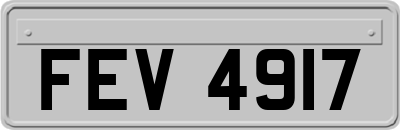 FEV4917