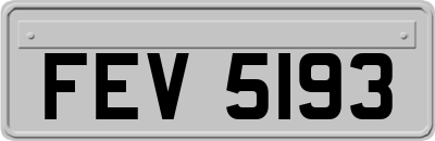 FEV5193