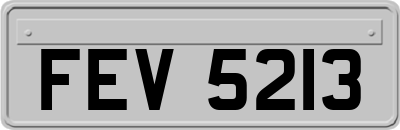 FEV5213