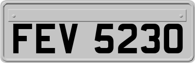 FEV5230