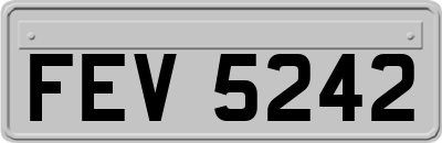 FEV5242