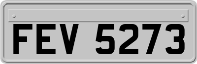 FEV5273