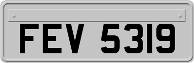 FEV5319