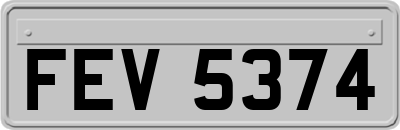 FEV5374