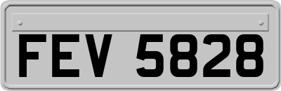 FEV5828