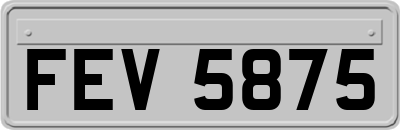 FEV5875