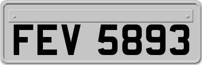 FEV5893