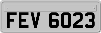 FEV6023