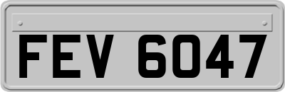 FEV6047