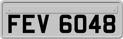 FEV6048