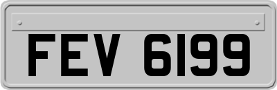 FEV6199