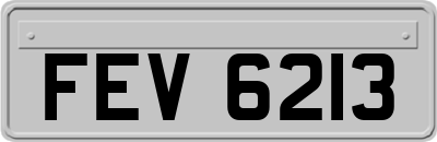 FEV6213