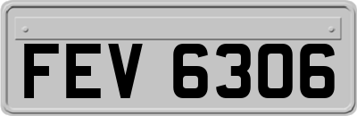 FEV6306