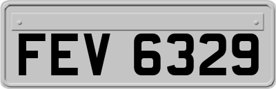 FEV6329