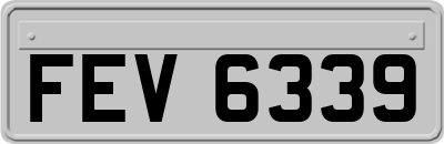 FEV6339