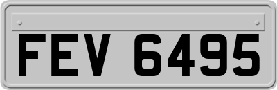 FEV6495