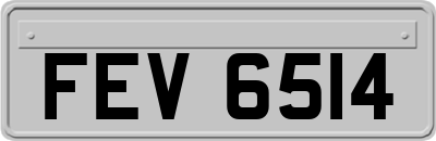 FEV6514