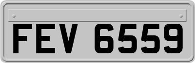 FEV6559