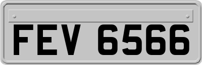 FEV6566