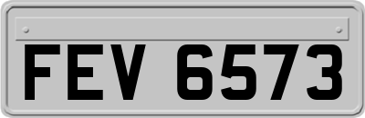 FEV6573