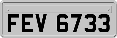 FEV6733