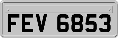 FEV6853